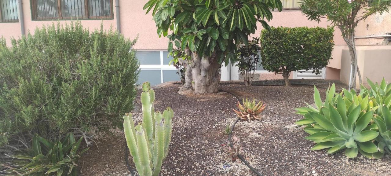 Acapulco Paradise Playa Fanabe Exterior photo